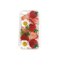 Dried flower fruit cell phone case